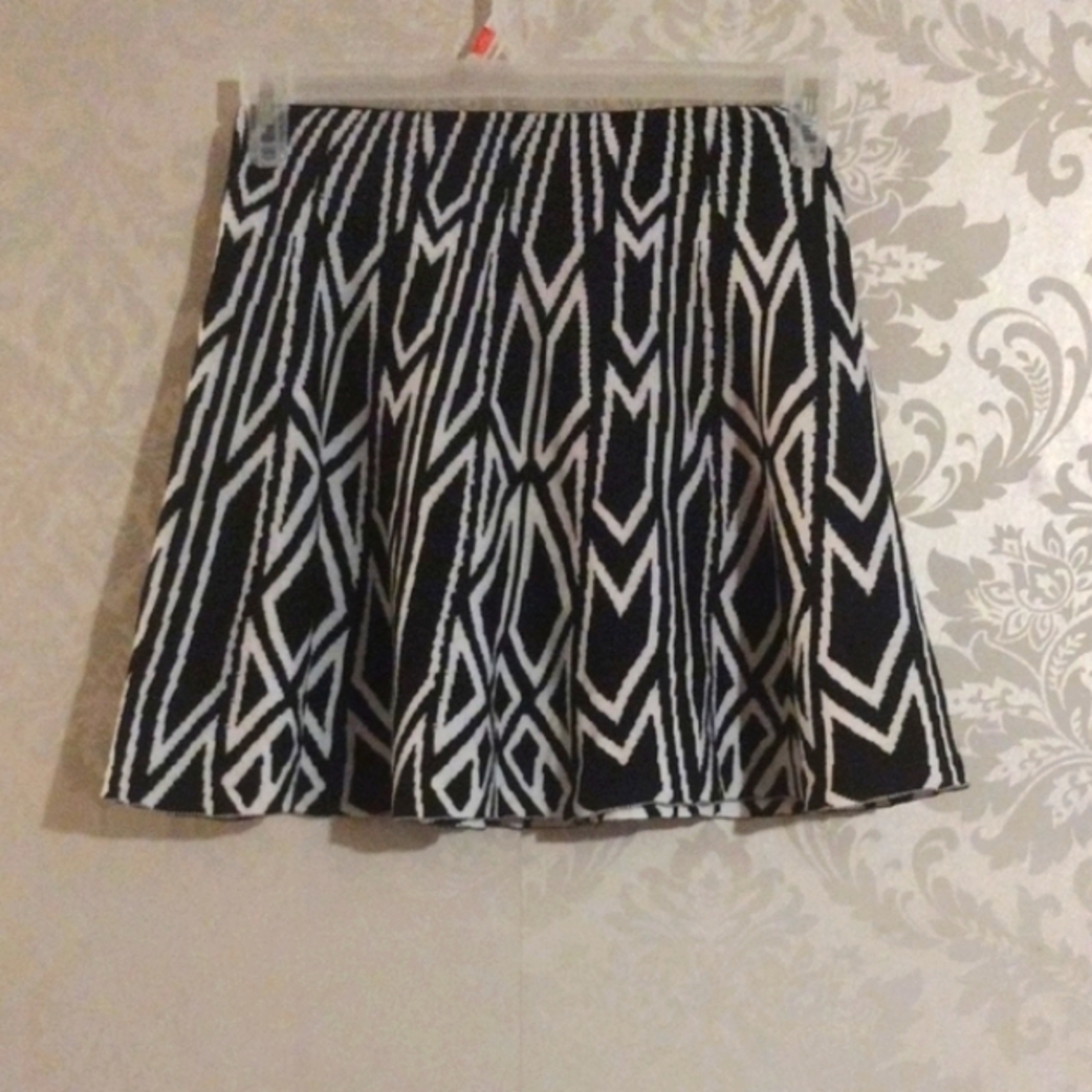 Hera Collection Black and White Pleated Skater Skirt